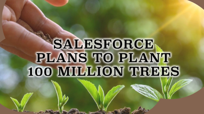 Salesforce Plans to Plant 100 Million Trees
