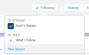 Followed Records List in Lightning Using Flow - Salesforce Time