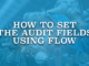 How to Set the Audit Fields Using Flow