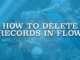 How to Delete Records in Flow