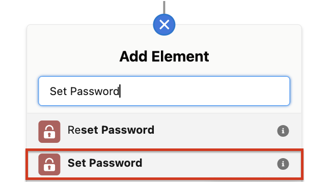 Set Password Action