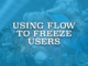 Using Flow to Freeze Users