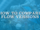 How to Compare Flow Versions