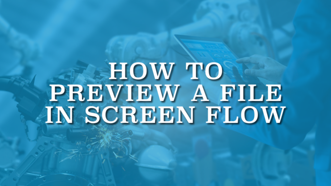 How to Preview a File in Screen Flow