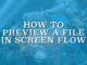 How to Preview a File in Screen Flow