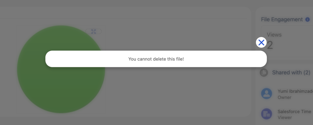 Prevent File Deletion