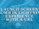 Launch Screen Flows in Lightning Experience with a URL