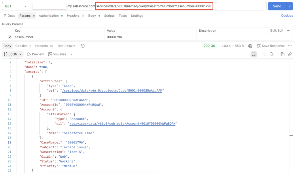Using Named Query API