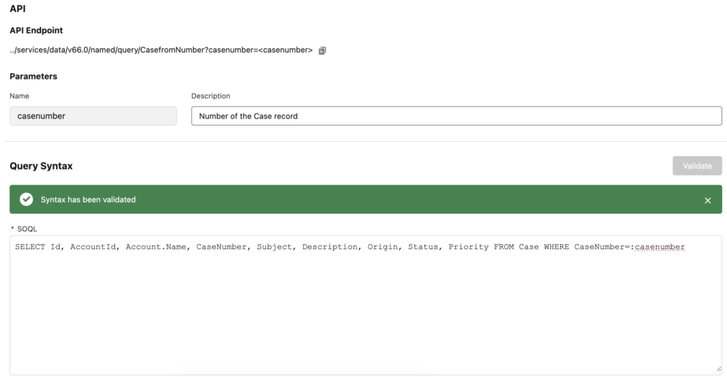 Entering the SOQL Query