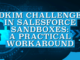 DKIM Challenge in Salesforce Sandboxes: A Practical Workaround