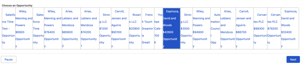 Radio Button Group - Record Choices