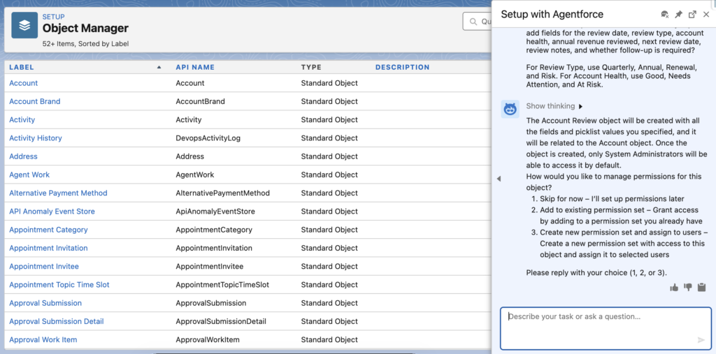 Asking to Create Object and Fields