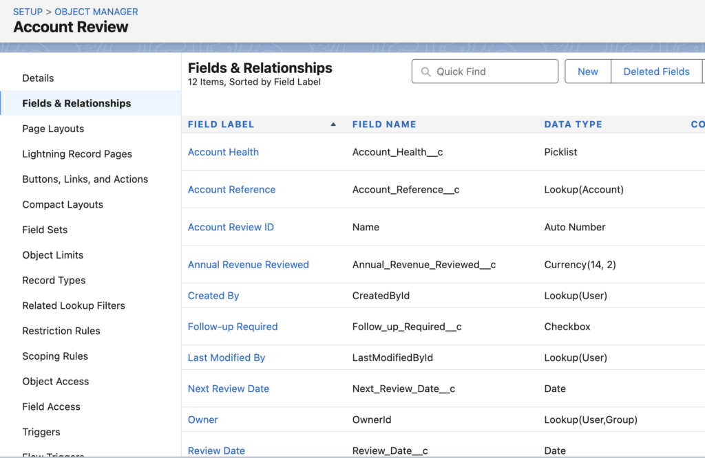 Object Created by Setup with Agentforce